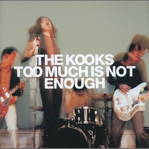 Too Much Is Not Enough The Kooks