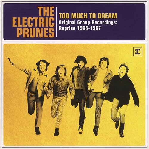 Too Much To Dream - Original Group Recordings: Reprise 1966-1967 The Electric Prunes