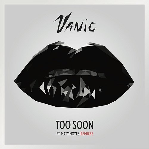 Too Soon (Remixes) Vanic feat. Maty Noyes