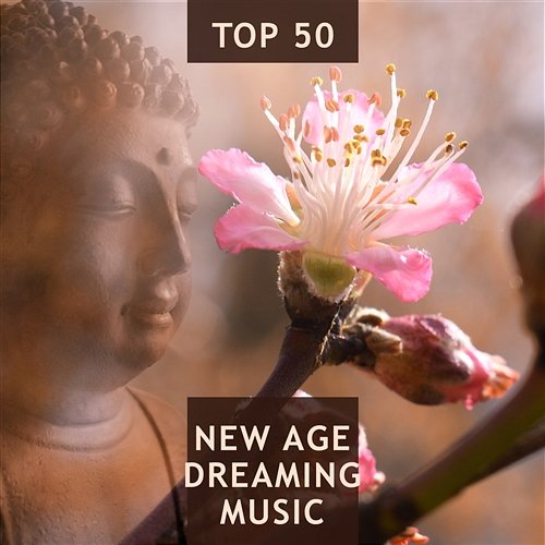 Top 50 New Age Dreaming Music: Nature Sounds with Ocean Waves, Rain and Birds for Meditation and Deep Sleep, Spirit of Nature True Happiness Academy