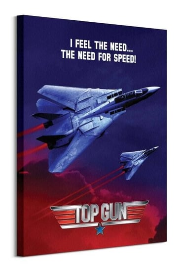 Top Gun Need For Speed Jets - obraz na płótnie Pyramid