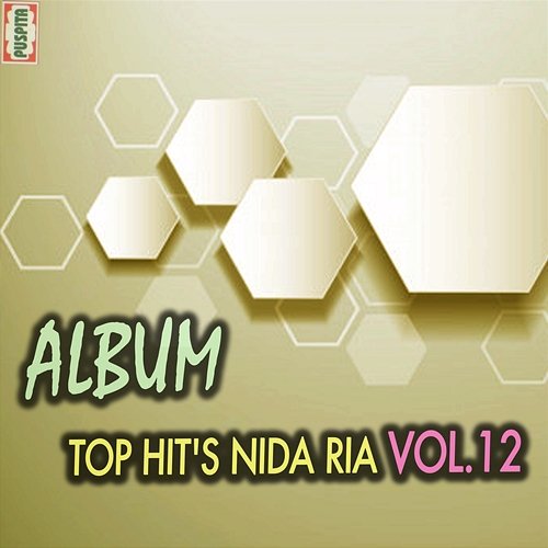 Top Hit's, Vol. 12 Nida Ria