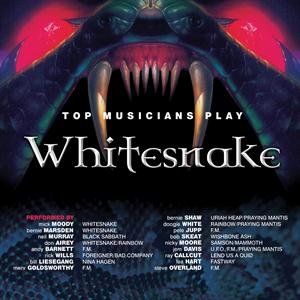 Top Musicians Play Whitesnake