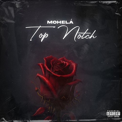 Top Notch Mohelá