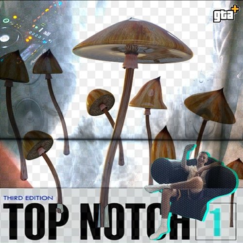 Top Notch GTA Houbou