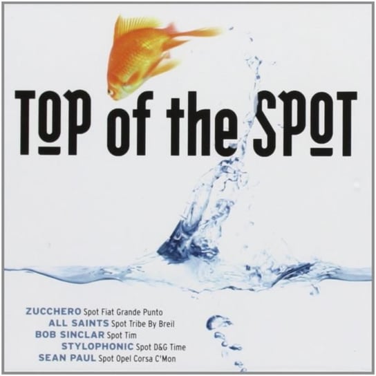 Top of the Spot 2007 Various Artists