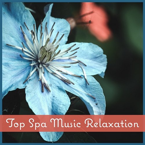 Top Spa Music Relaxation – Massage Zen Music, Reiki Treatment, Wellness Center, Harmony Time Spa Music Paradise Zone