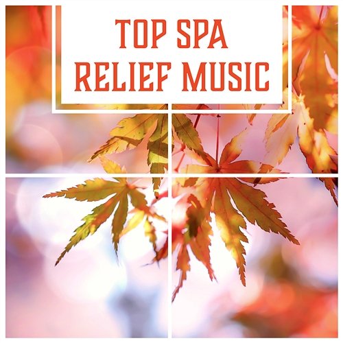 Top Spa Relief Music – Relaxation Songs for Wellness, Regulate Sleeping System, Ultimate Brain Stimulation, Healing Massage Various Artists