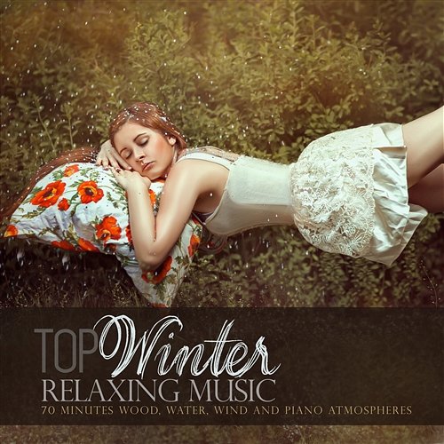 Top Winter Relaxing Music: 70 Minutes Wood, Water, Wind and Piano Atmospheres Various Artists