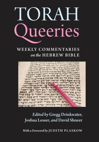 Torah Queeries: Weekly Commentaries on the Hebrew Bible New York Univ Pr