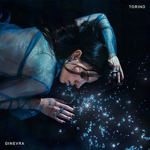 TORINO GINEVRA