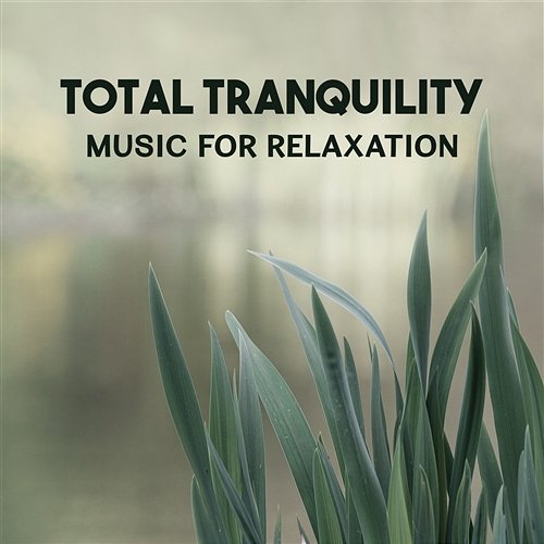 Total Tranquility – Music for Relaxation, Sleep Therapy, Relaxing Music Therapy for Shiatsu Massage, Peaceful Sleep, Healing Sounds for Mindfulness Spiritual Healing Consort