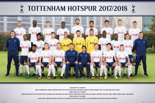 Tottenham Zawodnicy 17/18 - plakat 91,5x61 cm Tottenham Hotspur FC