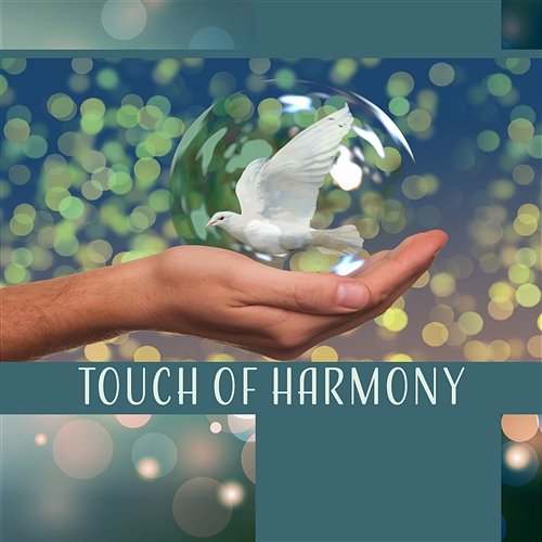 Touch of Harmony: Spiritual Yoga, Music for Exercises, Fifth Chakra, Light of Love, Relaxing Poses, Flexible Healing Joga Relaxing Music Zone