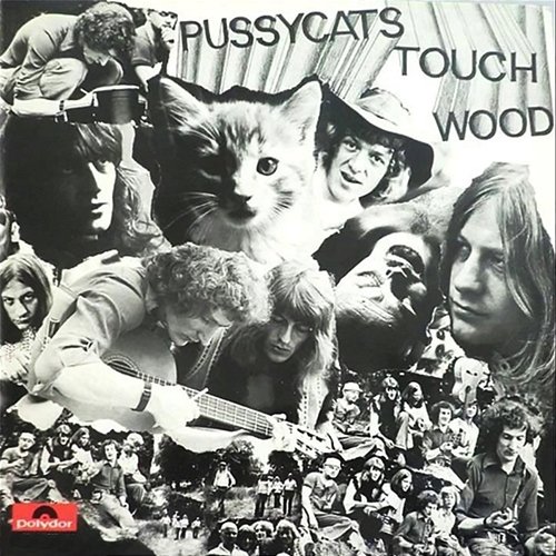 Touch Wood The Pussycats