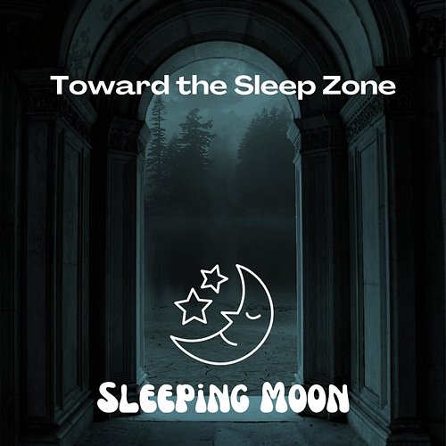 Toward the Sleep Zone Sleeping Moon, Instrumental Sleeping Music, Sleep Music Healing