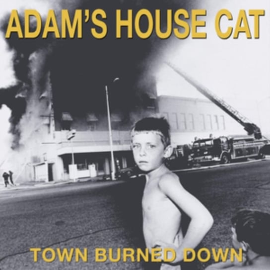 Town Burned Down Adam's House Cat