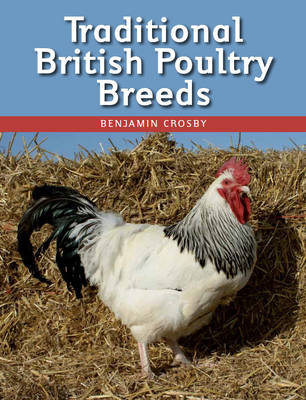 Traditional British Poultry Breeds Crosby Benjamin