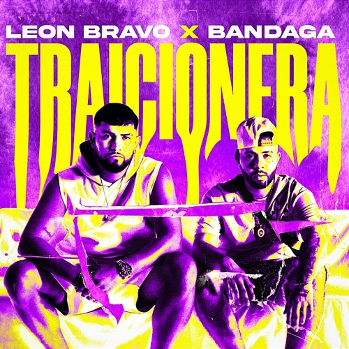 Traicionera León Bravo, Bandaga