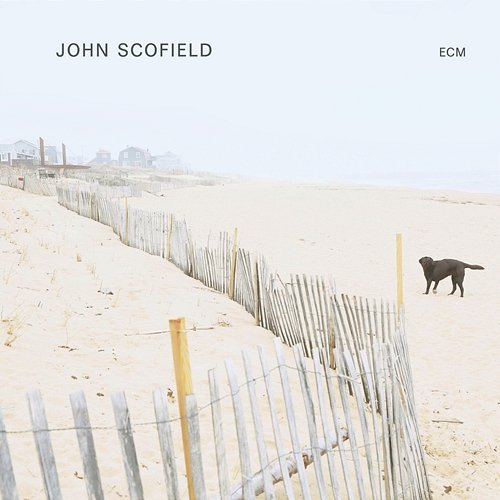 Trance De Jour John Scofield
