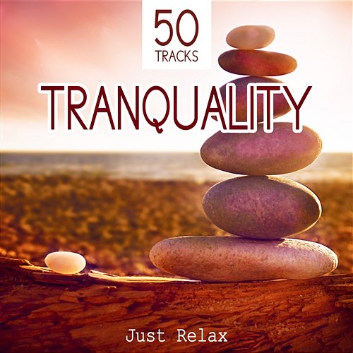Tranquility: Just Relax - 50 Deep Meditation Tracks and Healing Sounds to Relax, Music for Spa, Study, Sleep and Well Being Various Artists