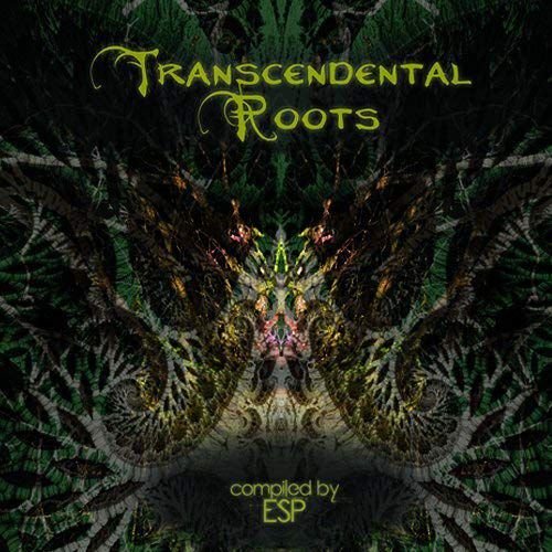 Transcendental Roots Various Artists
