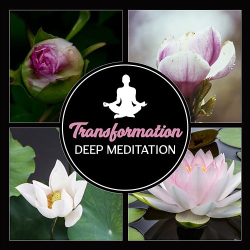 Transformation: Deep Meditation – Find Life Purpose, 50 Balancing Emotions Sounds, Inner Freedom, Holistic Living Meditation Time Zone