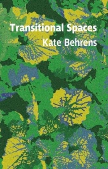 Transitional Spaces Kate Behrens