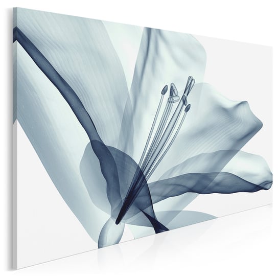 Transparentna nieuchwytność - nowoczesny obraz do sypialni - 120x80 cm VAKU-DSGN Nowoczesne obrazy