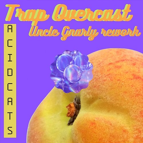 Trap Overcast (Uncle Gnarly Rework) Acid Cats Uncle Gnarly