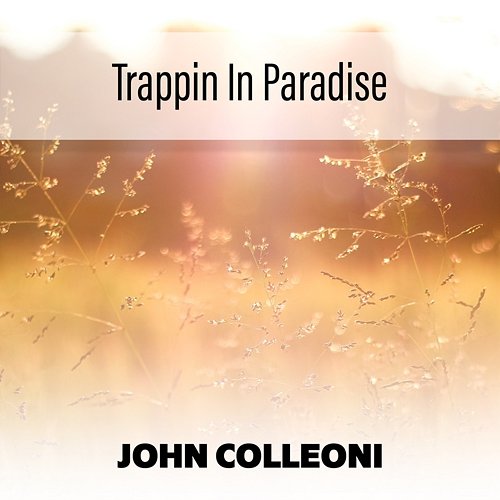 Trappin In Paradise John Colleoni