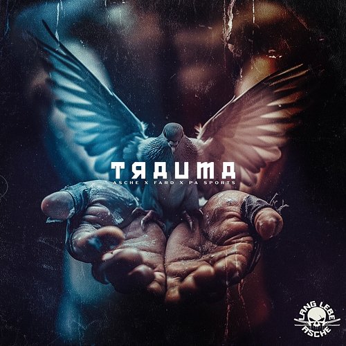 Trauma Asche, PA Sports, Fard