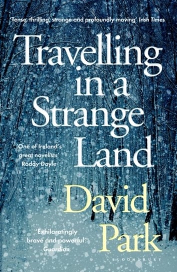 Travelling in a Strange Land: Winner of the Kerry Group Irish Novel of the Year David Park
