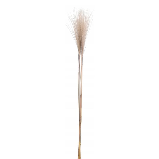 Trawa sztuczna sztuczna DALEN pampasowa 90 cm Koopman