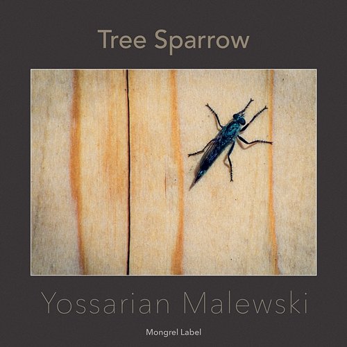 Tree Sparrow Yossarian Malewski