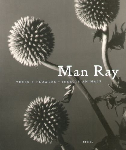 Trees + Flowers - Insects Animals Ray Man