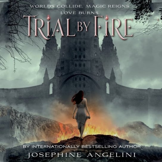 Trial by Fire Angelini Josephine