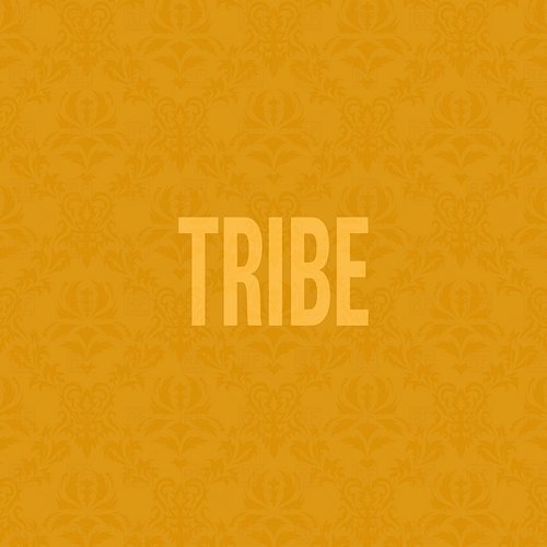 Tribe Jidenna