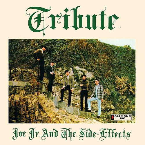 Tribute Joe Jr. & The Side Effects