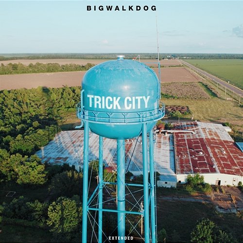 Trick City BigWalkDog