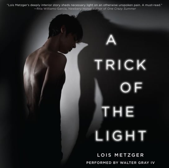 Trick of the Light Metzger Lois