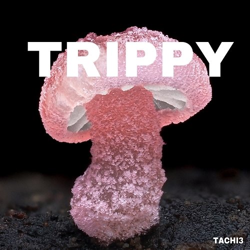 trippy Lil tachi
