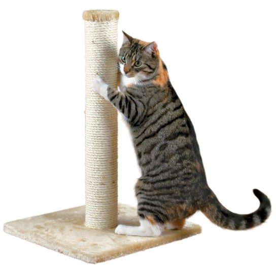 TRIXIE Drapak dla kota sizalowy PARLO 40x40cm Beżowy Trixie