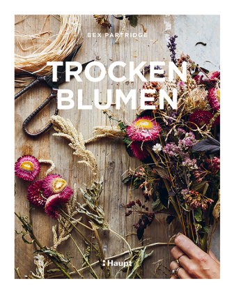 Trockenblumen Haupt