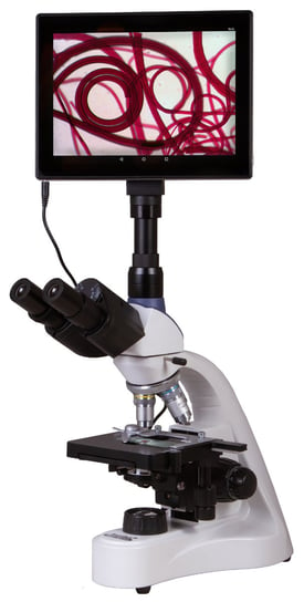 Trójokularowy mikroskop cyfrowy Levenhuk MED D10T LCD Levenhuk
