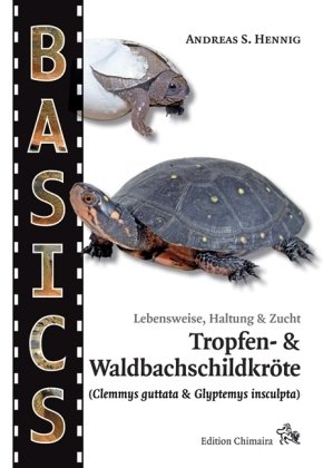 Tropfen- und Waldbachschildkröte Chimaira