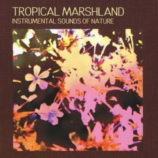 Tropic Marshland Sound Effects