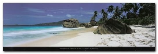 Tropical Beach La Digue plakat obraz 95x33cm Wizard+Genius