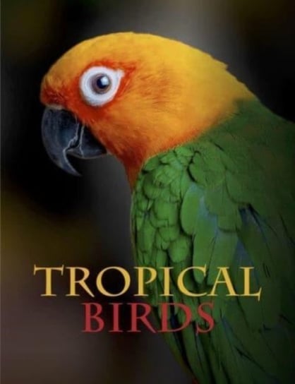 Tropical Birds Jackson Tom