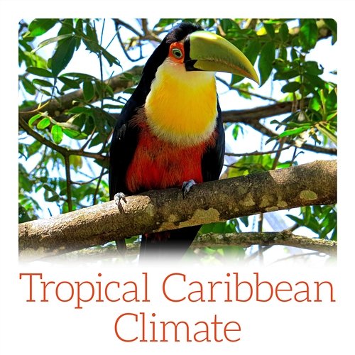 Tropical Caribbean Climate – Feel Summer Holiday with Wonderful Exotic Sounds Sound Effects Zone